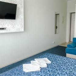 Комната студия бизнес с 1 двуспальной кроватью