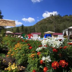 Фото Отель Золоторудная