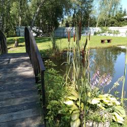 Фото Отель Уютный домик в лесу у пруда