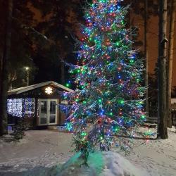 Фото Отель Комплекс отдыха Академия