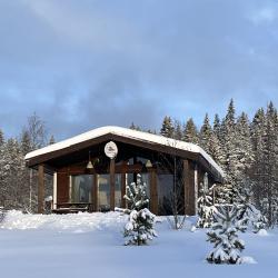 Фото Отель Филина Гора