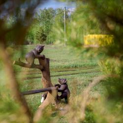 Фото Отель Хуторок Озерный