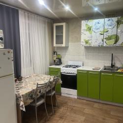 Фото Апартаменты на проспекте Ленина 40