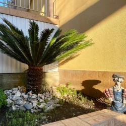 Фото Отель Огонёк