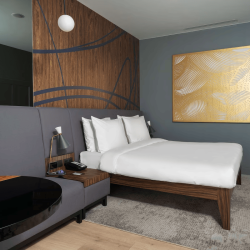 One Bedroom Suite