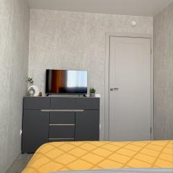 4-местные 2-комнатные апартаменты улучшенные улица Революционная 101Д