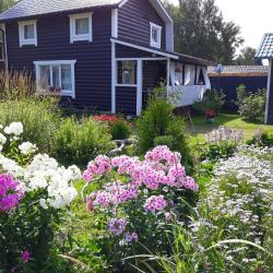 Фото Отель Гостевой комплекс Сосны