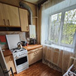 Фото Апартаменты на улице Горького 16