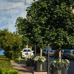 Фото Отель Саквояж впечатлений