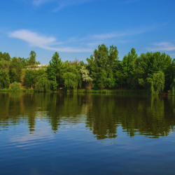 Фото Отель Golden Fish (Голден Фиш)
