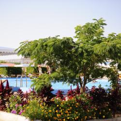 Фото Отель Нарлен