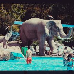 Фото Отель Aquapark Hotel & Villas