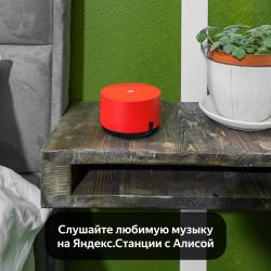 фото 31 Олива