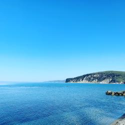 Фото Отель Примула