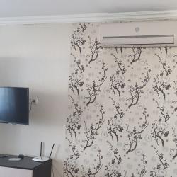 Фото Апартаменты на улице Приборостроительная 57