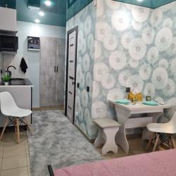 4-местные 2-комнатные апартаменты стандарт №1