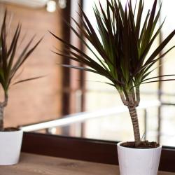 Фото Бизнес-отель Loft (Лофт)