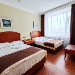 Номер люкс Twin