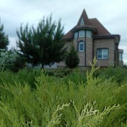 Фото Отель Гостевой дом Vacation Home