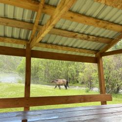 Коттедж эконом №1