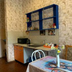 Фото Отель Шелонь