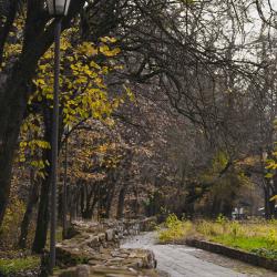 Фото Отель Старый замок