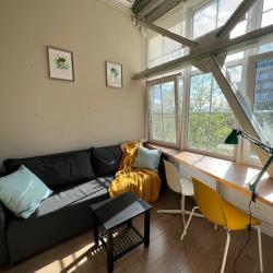 Двухуровневые апартаменты-студия Loft Sunny
