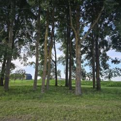 Фото Отель Аблъко ресорт