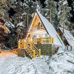 Коттедж премиум