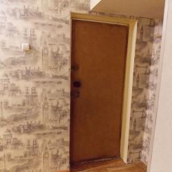 2-комнатные апартаменты эконом Ленинский пр-т, 24