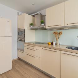 1-комнатные апартаменты стандарт Готвальда 24/5 4 эт