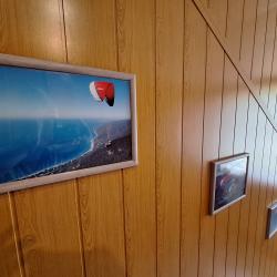 Фото Отель Лесная жемчужина