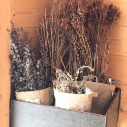 Фото Отель Рузские