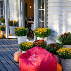 Фото Парк-отель Песчаный