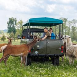 Фото Отель Сафари-Парк