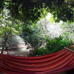 Фото Отель Гранатовый дворик (домики)