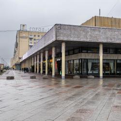 Апартаменты улучшенные Московский проспект, 224