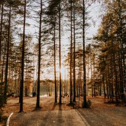 Фото Отель Загородный клуб Орех