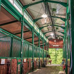 Фото Отель Green Club Family (Грин Клаб Фэмили)