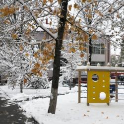 Дача генерала Николаева — ead2bad960439f544be299e58591bc2d