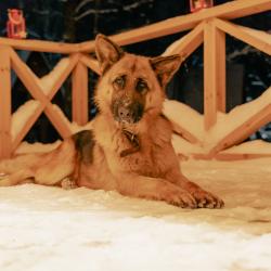 Фото Отель Эко Парк Тепло