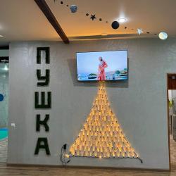 Фото Отель Пушка