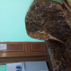 Фото Отель Горизонт