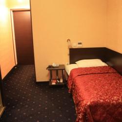 Фото Отель Angel Hotel (Ангел)