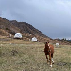 Фото Отель Cloud Park Altay (Клауд Парк Алтай)