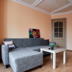 Фото Апартаменты на улице Озерковая