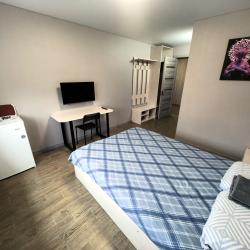 Фото Отель Гостевой дом Пчелка