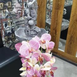 Фото Отель Friends (Френдс)