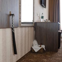 Фото Отель Родина