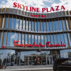 Фото Отель Skyline Plaza (Скайлайн Плаза)